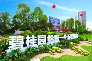 开封碧桂园爆料最新消息,揭秘项目进展与未来规划 第1张 开封碧桂园爆料最新消息,揭秘项目进展与未来规划 第1张