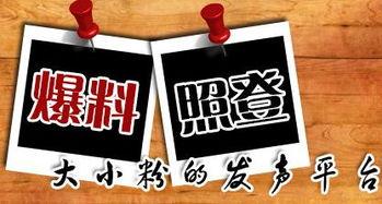 怎么向当地新闻网爆料,如何高效向当地新闻网提供新闻线索