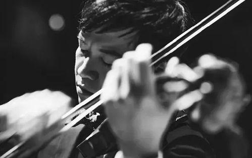 小提琴家故事视频爆料大全,视频爆料大全集锦